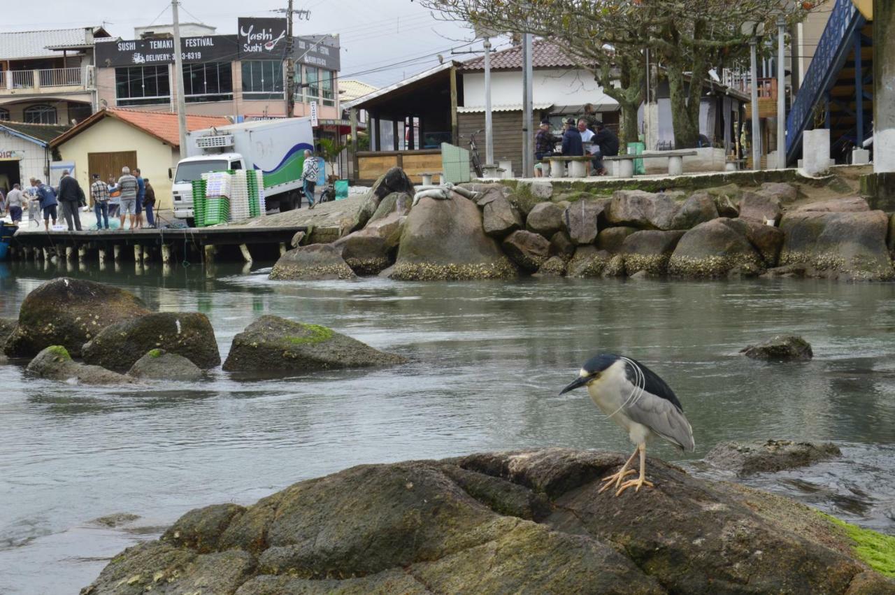 Floripa Backpackers Pansiyon Florianópolis Dış mekan fotoğraf